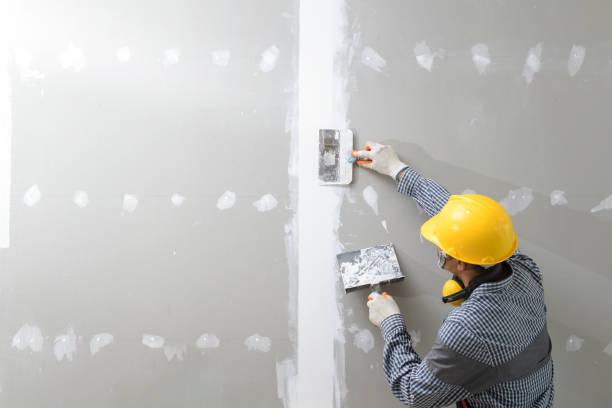 Professional Drywall & Painting Services in Bunkie, LA